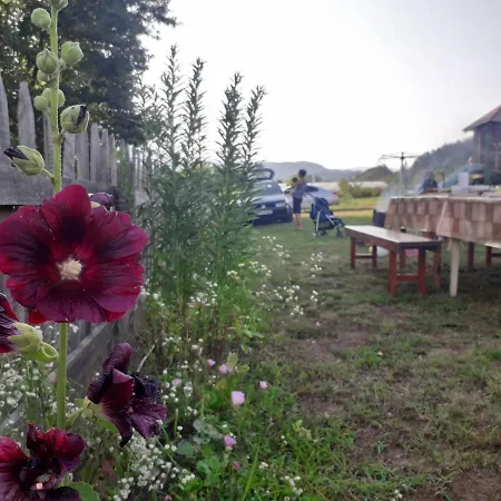 Holiday home Drinski Dragulj *